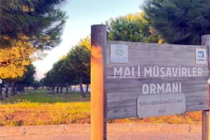 link Silivri Mali Müşavirler Ormanı’nda 390 ağaç taşındı, İSMMMO’dan bilgilendirme tepkisi