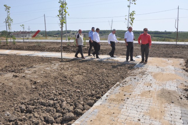 Işıklar denetimde