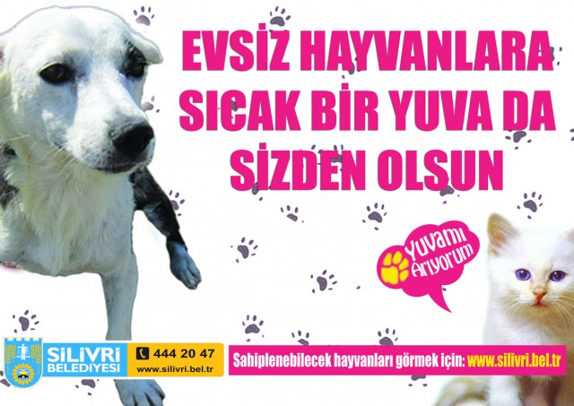 Belediye can dostlarımıza yuva buluyor