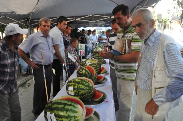 Kıyasıya yarış