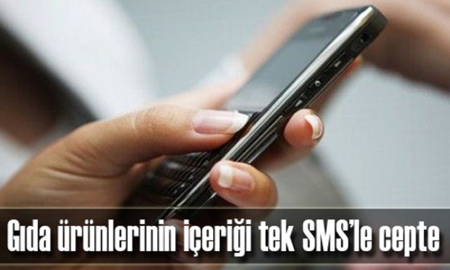 Gıda Ürünleri Doğrulama ve Takip Sistemi başlıyor...