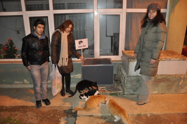 Can dostlarımıza sıcak yuva