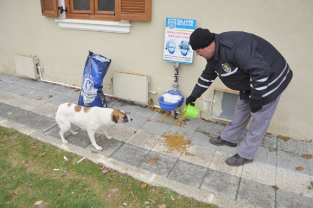 Sokak hayvanları aç kalmıyor