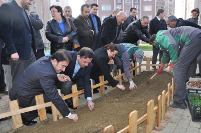 Silivri’nin laleleri İstanbul’un dört bir yanında