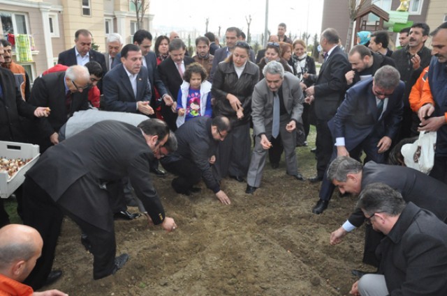 Ak Parti’den lale dikim töreni