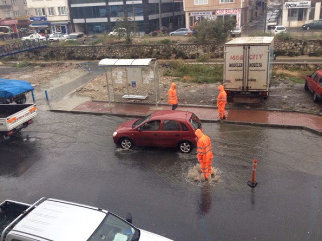Şelale logarlar