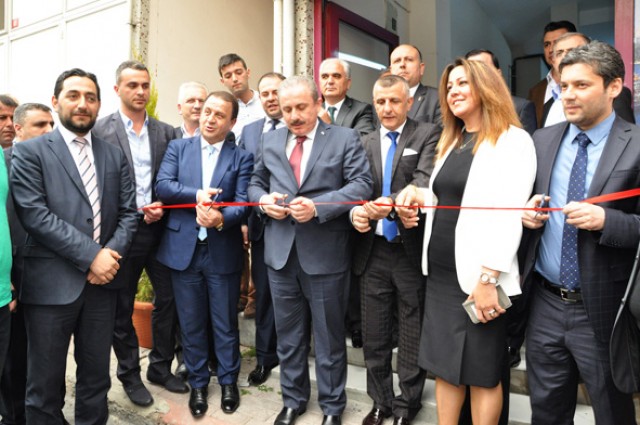 Sinoplular dernek kurdu