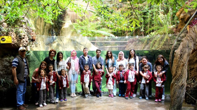 Sualtı dünyasına yolculuk