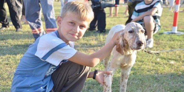 Köpek Irkları yarışması bu gece başlıyor