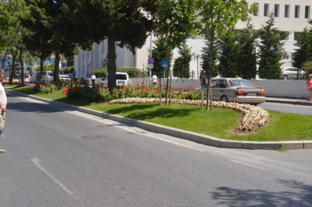 Silivri çiçek açtı