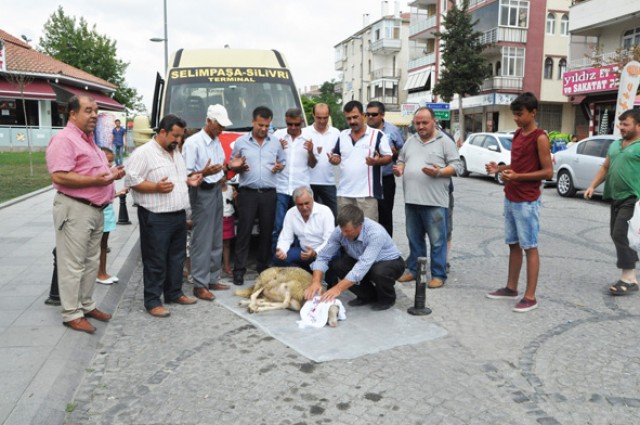 Yeni hat için kurban kestiler