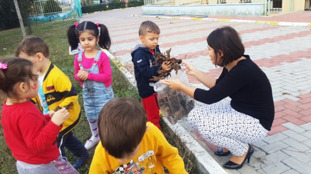 Papatyalar sonbaharı tanıyor