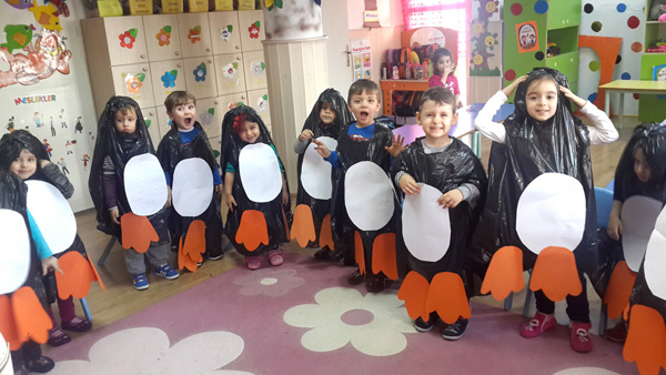 Papatyalar penguen oldu