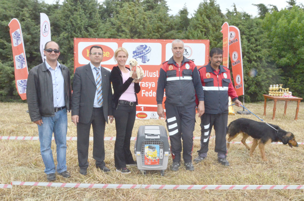 Sokak hayvanları sahiplendirildi
