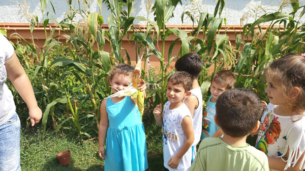 Yıldız Çocukların bahçesinde hasat zamanı