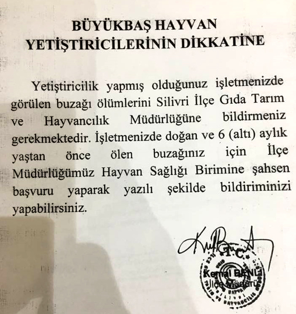 Buzağı ölümleri hakkında duyuru