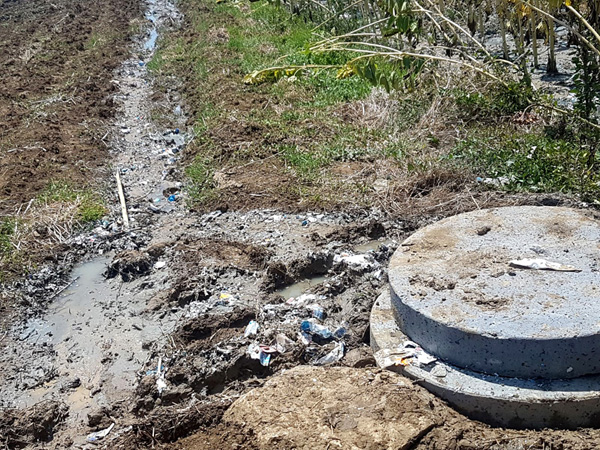 Semizkumlar’da denizin rengi değişti