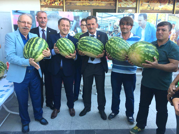 En iyi karpuz; Kadıköy’de yetişiyor