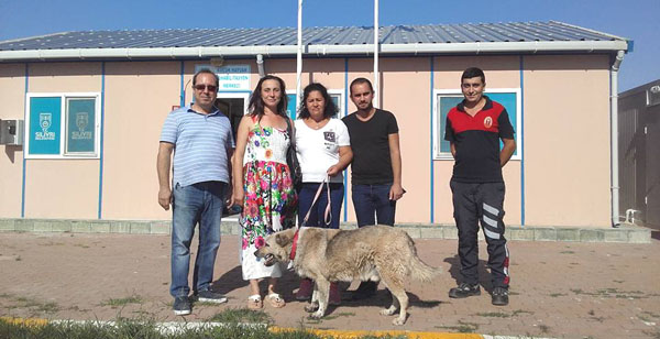 SİHAYDER’den barınak ziyareti