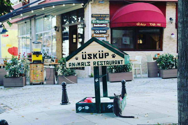Şefkatliyken çok güzel oluyoruz!