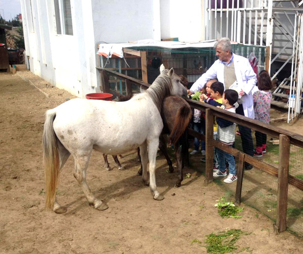 Can dostlarına mini ziyafet verdiler