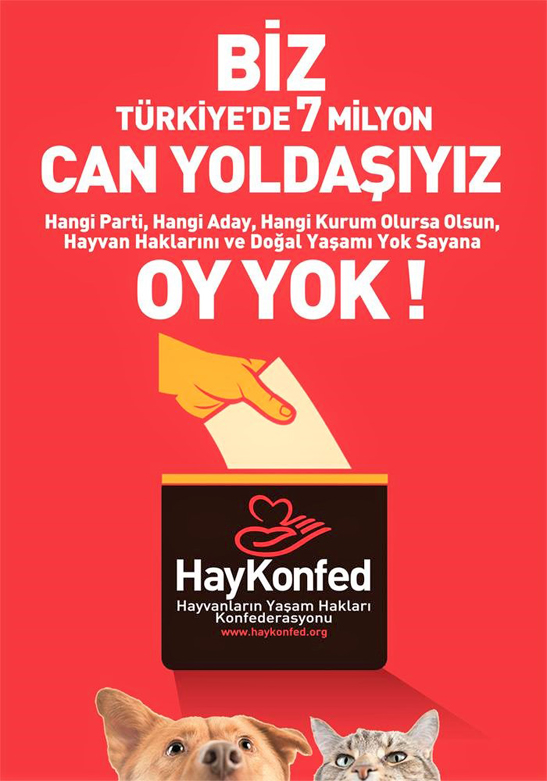 Hayvanların yaşam haklarını korumayan siyasilere OY YOK!