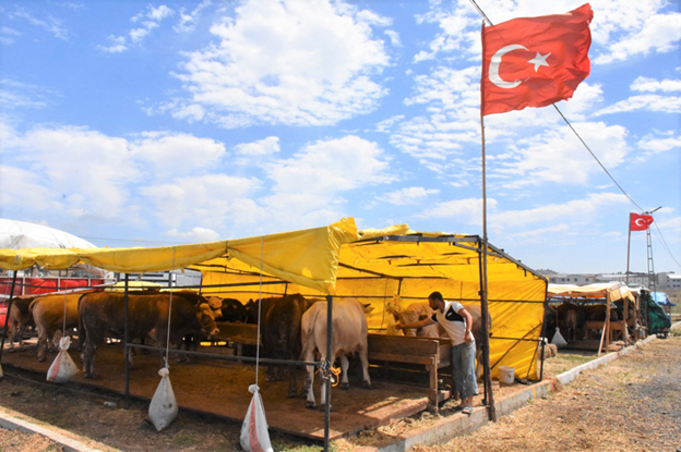 Belediye bayram hazırlıklarını tamamladı