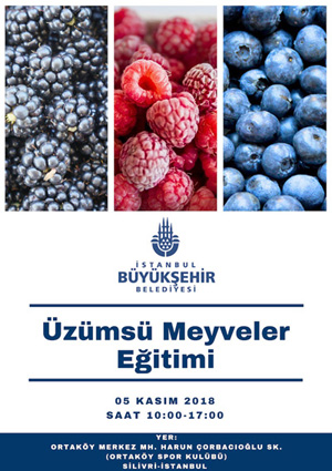 Büyükşehir’den üzümsü meyveler eğitimi