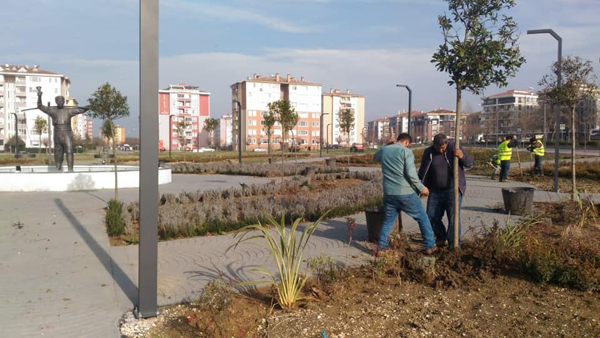 Ağaçlandırma çalışmaları devam ediyor