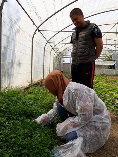 Pestisit kalıntısı  kontrolü