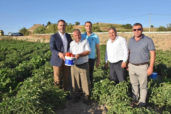 İlk hasat yine Uzun’dan geldi