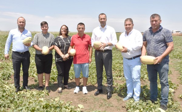 İlk kavunu Başkan Yılmaz topladı