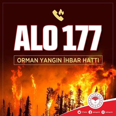 ALO 177 orman yangını ihbar hattı