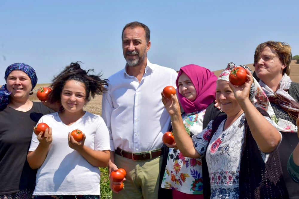 Yılmaz: Domatesimizi tatmaya bekliyoruz