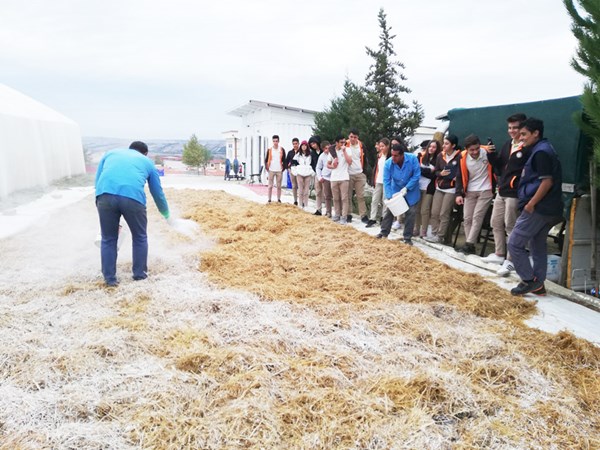 Mantar Yetiştiriciliğini uygulamalı gördüler