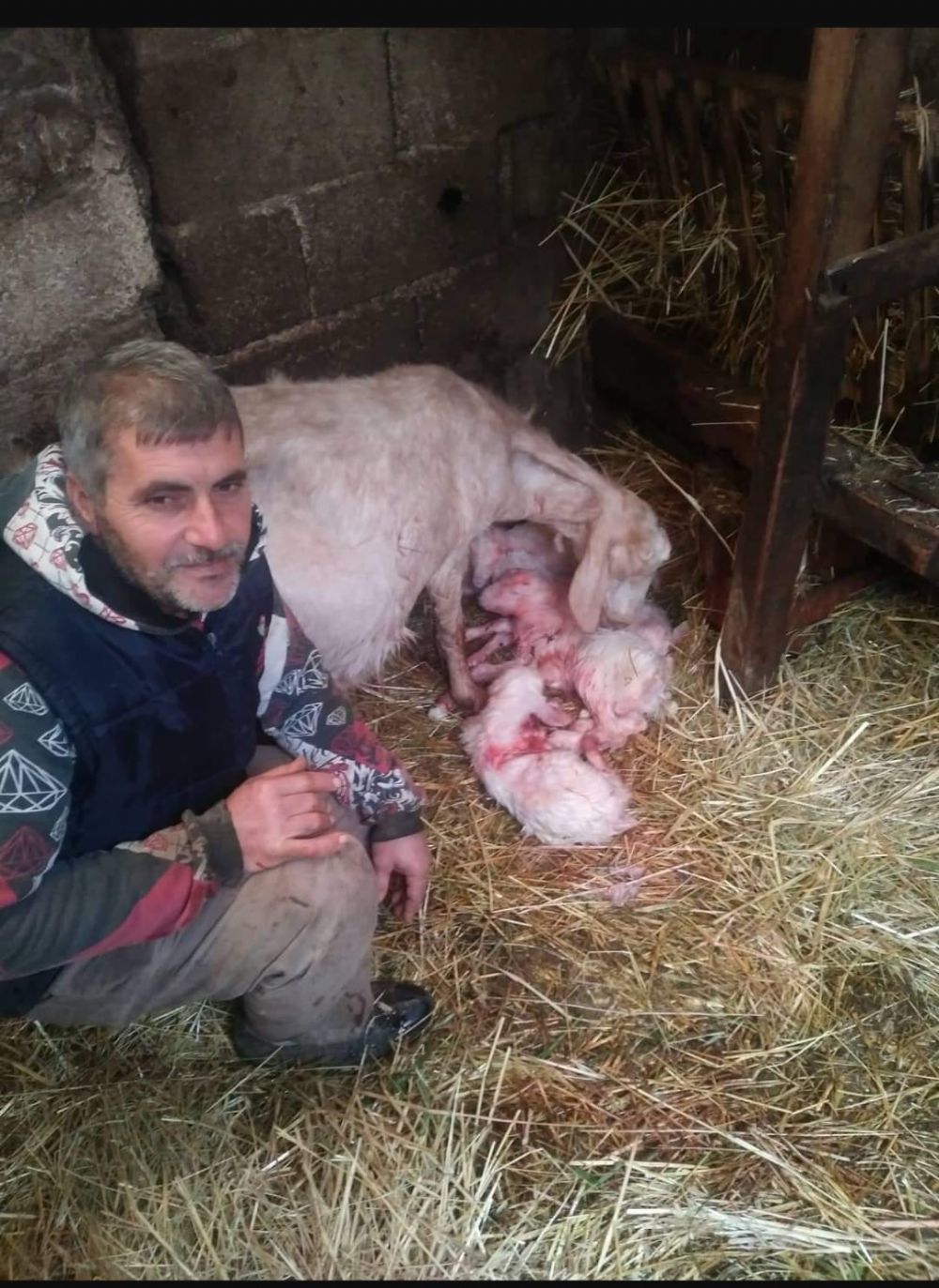 Üreticiye Sevgililer Günü sürprizi