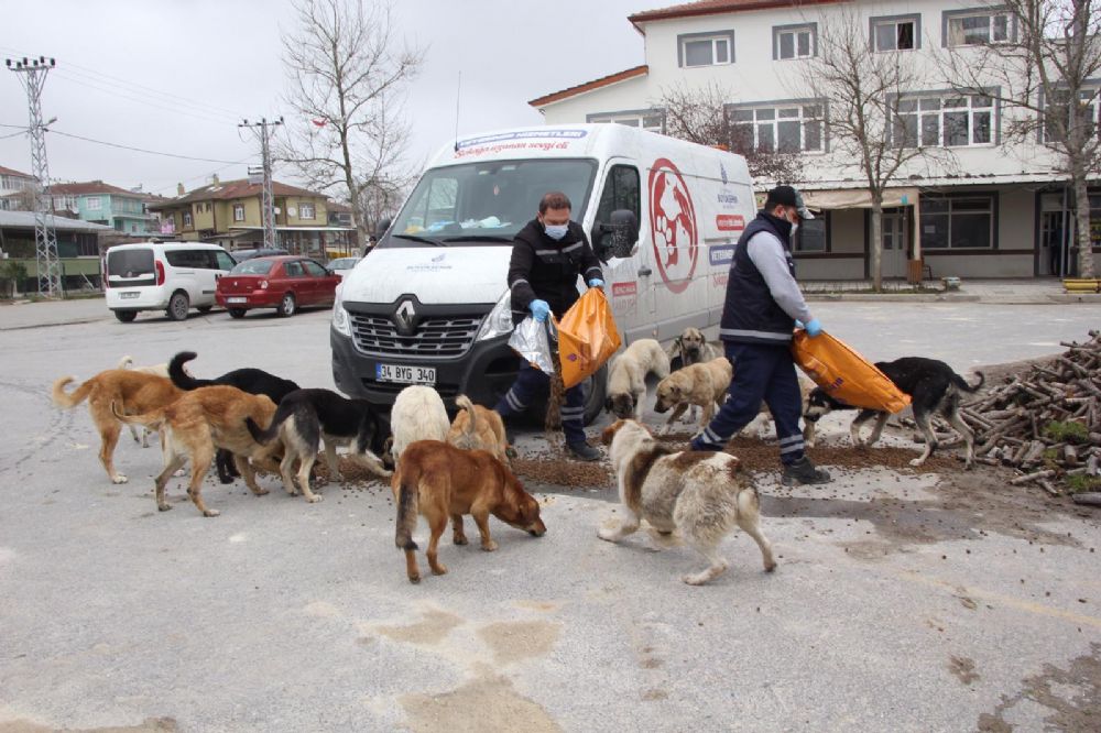 İBB, sokaktaki dostları unutmadı