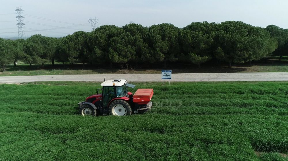 Yerli arpa tohumu için üretim çalışmaları devam ediyor