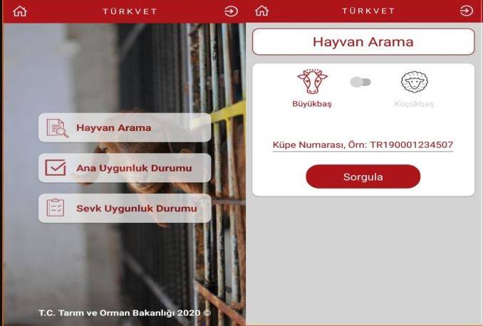 TÜRKVET uygulaması akıllı telefonlarda…