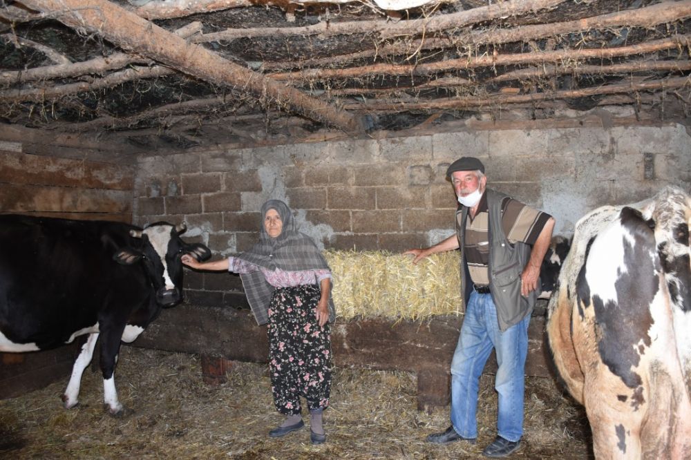 Silivri belediyesi köy köy saman dağıtıyor