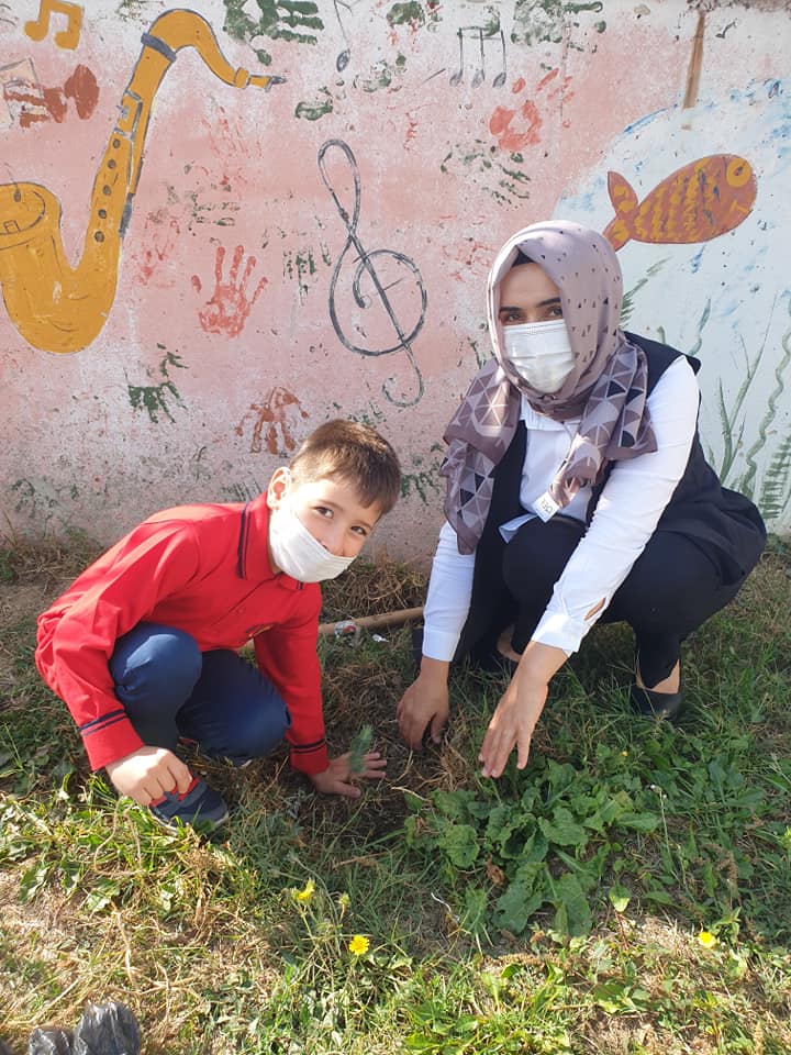 Mini mini birlerin ilk fidanları toprakla buluştu