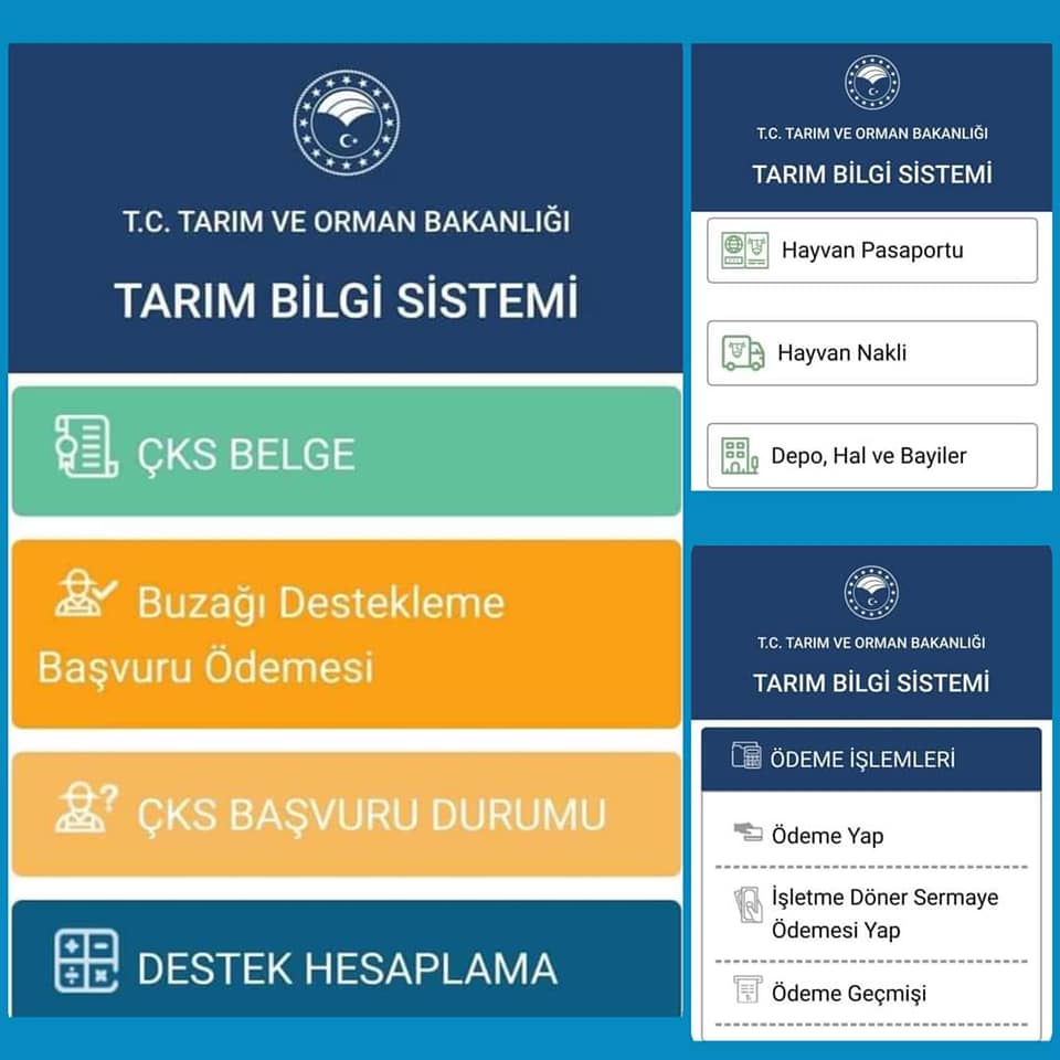 Buzağı Destekleme başvurularına internet kolaylığı