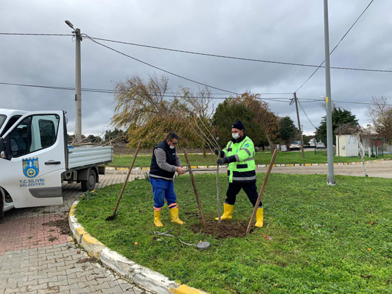 2 Bin 500 ağaç toprakla buluşacak