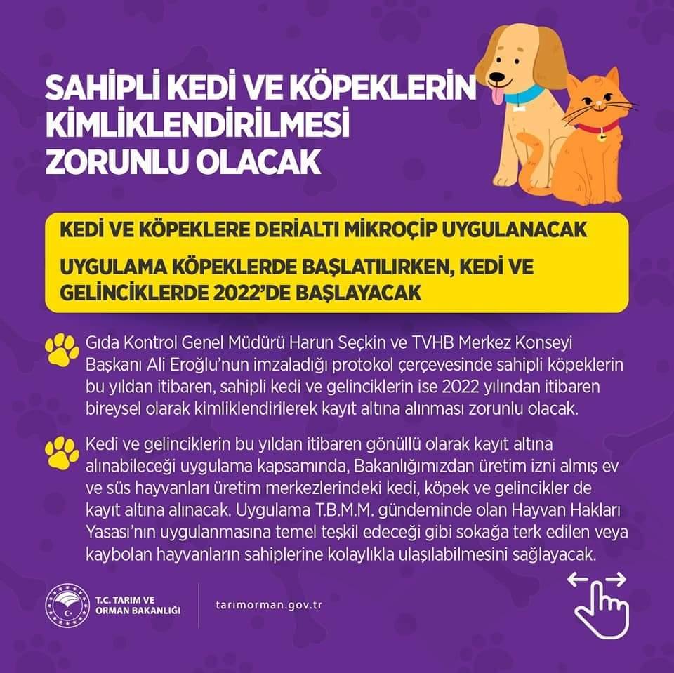 Sahipli kedi ve köpeklere kimlik zorunluluğu