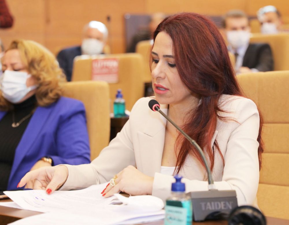 MHP Grubu adına Aşkın konuştu