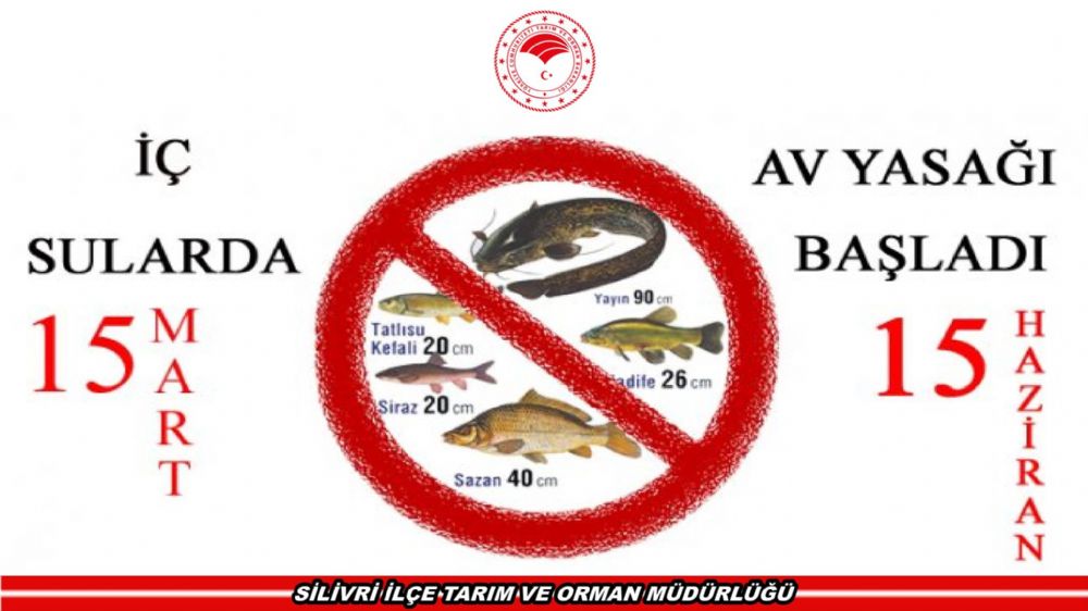 İç sularda av yasağı başladı 