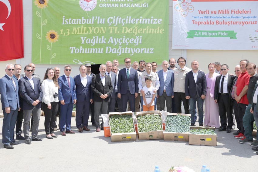 Silivrili çiftçilere 370 bin fide ve 2,5 ton ayçiçek tohumu