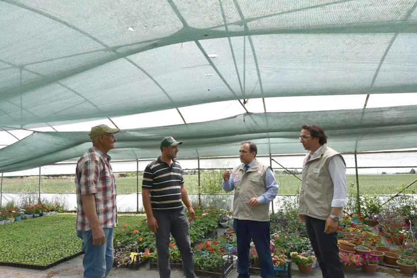 İl Tarım Müdürü seraları ziyaret etti