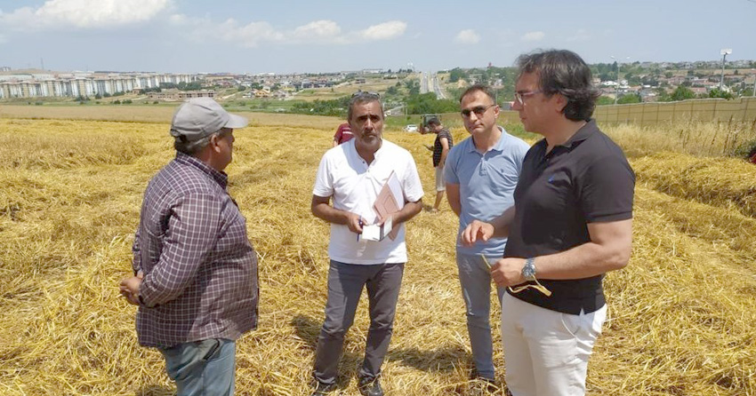 “Arpa hasadı Silivrili çiftçimizin yüzünü güldürüyor”