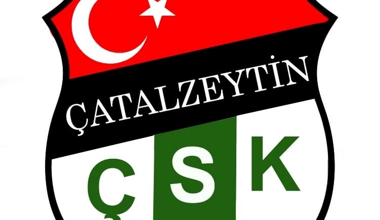 Çatalzeytin, olay çıkaran futbolcularını ihraç etti